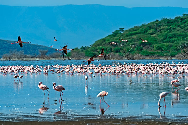 divi-Travel-Agency-img-16