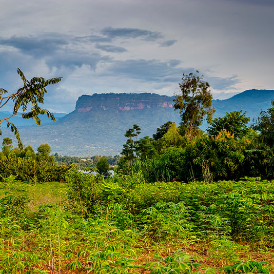 divi-Travel-Agency-img-8