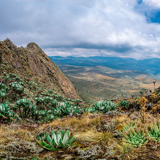 divi-Travel-Agency-img-8