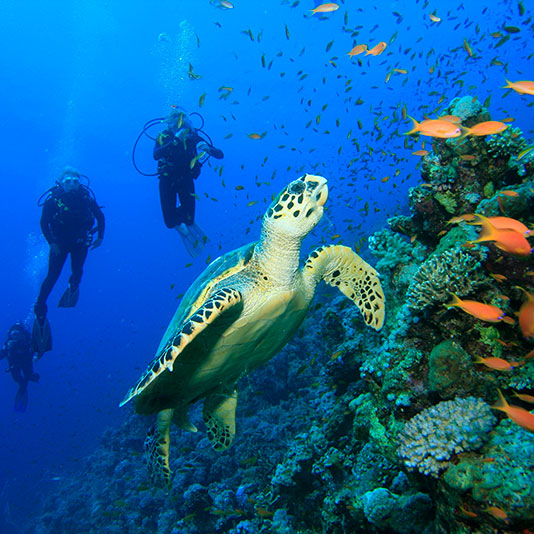divi-Travel-Agency-img-8