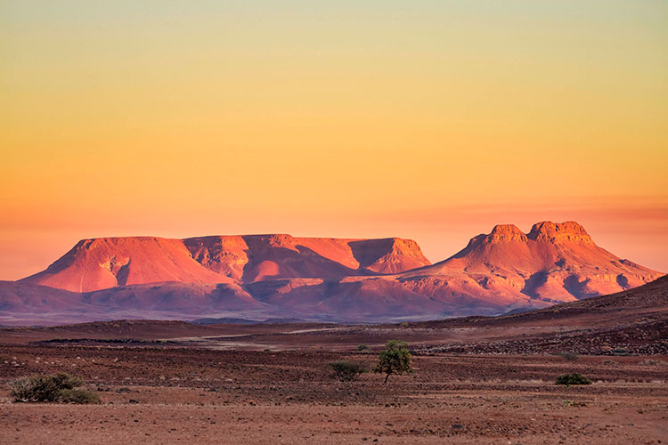 divi-Travel-Agency-img-16