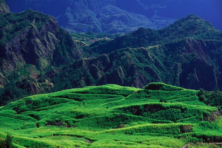 divi-Travel-Agency-img-16
