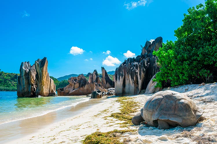 divi-Travel-Agency-img-17