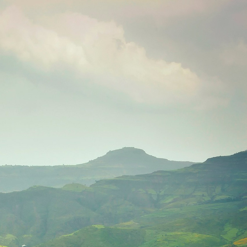 divi-Travel-Agency-img-8