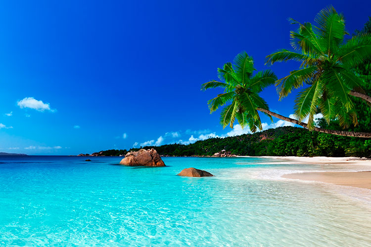 divi-Travel-Agency-img-16