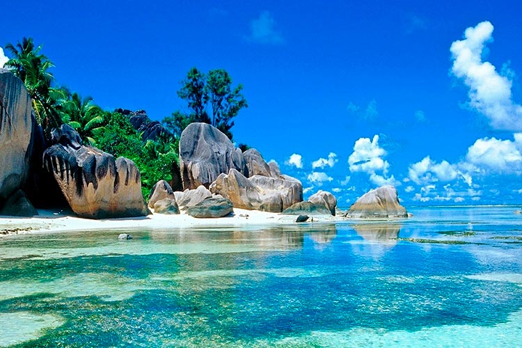 divi-Travel-Agency-img-17