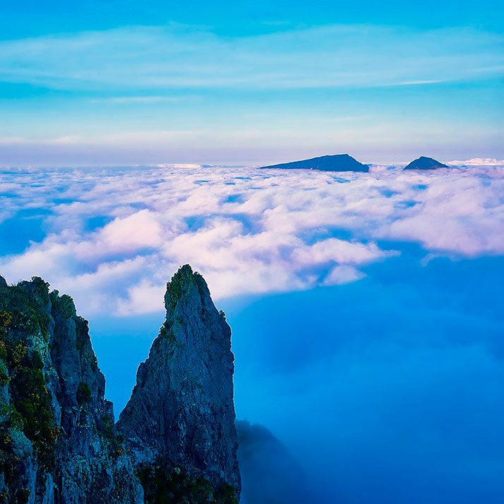 divi-Travel-Agency-img-8